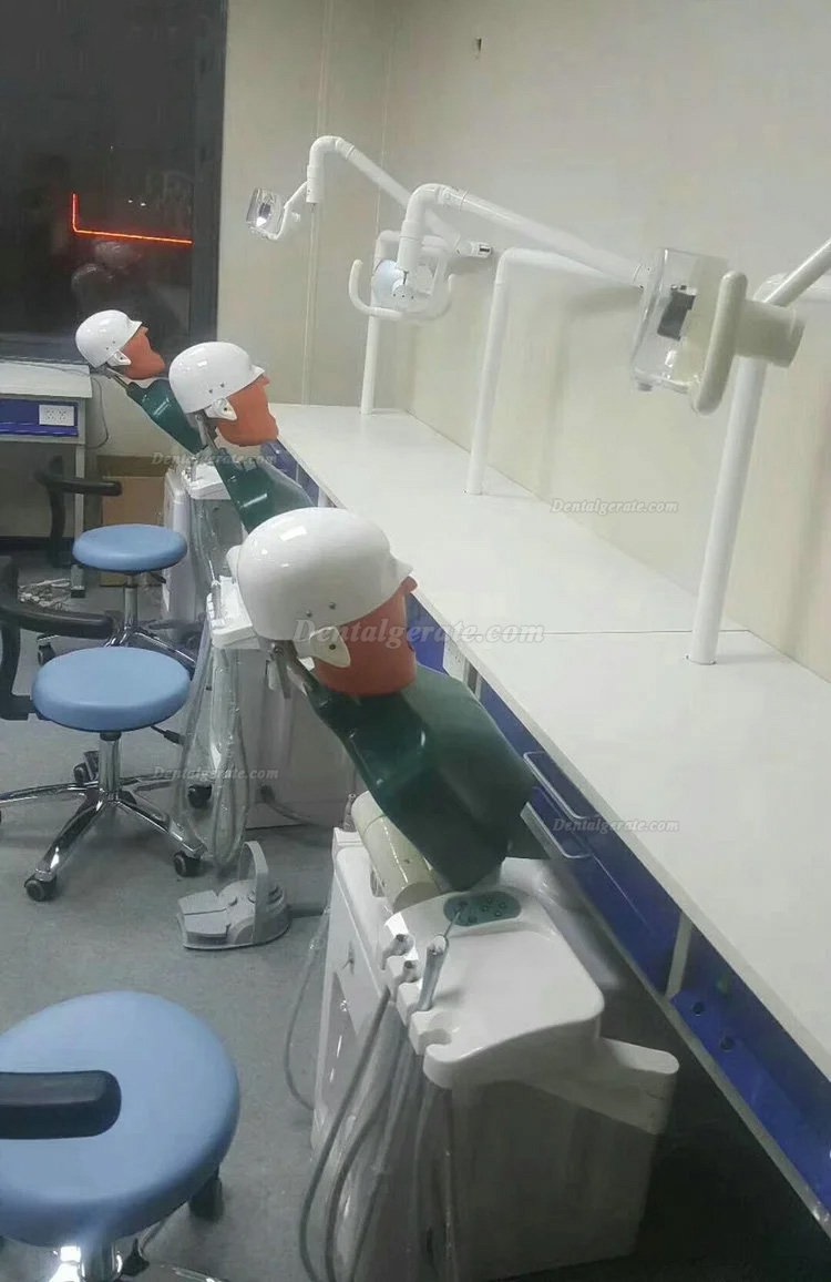 Jingle JG-A1 Phantomkopf Zahnmedizin-Patientensimulator Dentale Simulationseinheiten